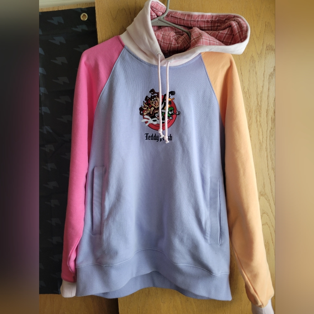 Teddy Fresh Looney Tunes Color Block Hoodie